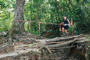 BIB: 
                            <button type="button" onclick="openModal(27802502)" class="btn btn-primary btn-sm float-right btn-popup" data-toggle="modal" data-target=".modal-high-quality">
                        <i class="fas fa-shopping-cart"></i> Add to Cart
                    </button>
                                            <button type="button" onclick="isThisMe(27802502, true)" class="btn btn-success btn-sm float-right btn-popup btn-isme hidden" data-toggle="tooltip" data-placement="bottom" title="นี่คือรูปของคุณใช่ไหม คลิกที่นี่เพื่อเอาเข้าอัลบั้ม">
                        <i class="fas fa-plus"></i> Add to album
                    </button>
                    <button type="button" onclick="isThisMe(27802502, false)" class="btn btn-warning btn-sm float-right btn-popup btn-isnotme hidden">
                        <i class="fas fa-ban"></i> Remove from album
                    </button>